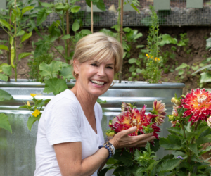 Creating A Summer Vegetable Garden
