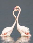 Artful Ways of Busting Out The Booze