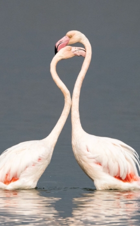 Are You With Your Soul Mate?