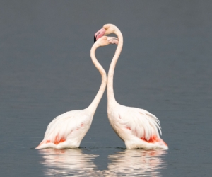 Are You With Your Soul Mate?