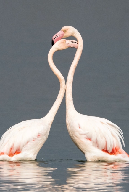 Are You With Your Soul Mate?